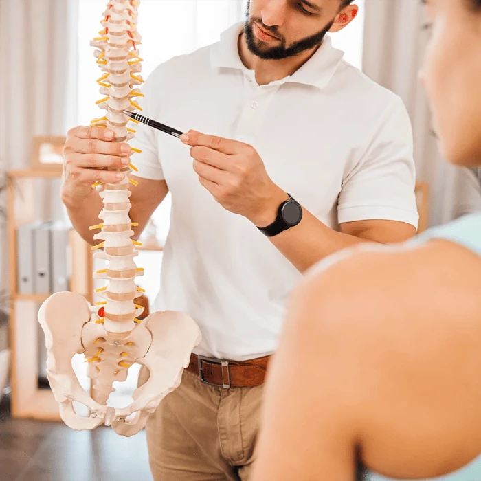 Chiropractor using a spine model to explain the source of back pain to a patient